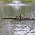 Leslie Cerf - @leslie.cerf - Instagram
