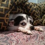 Leslie Chamberlin - @chamberlin4045 - Instagram