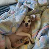 Leslie Chamberlin - @leslie.chamberlin3 - TikTok