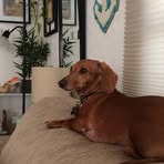 Leslie Cheney - Facebook