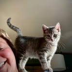 Leslie Cleary - Facebook