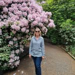 Leslie Cleary - @leslieclearynzartist - Instagram