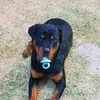 leslieclement278 - @leslieclement278 - TikTok