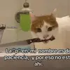 lesliecorgan - @lesliecorgan - TikTok