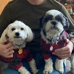 leslieconn - @leslieconn - Instagram