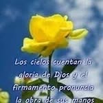 Leslie Corea - @corea1420 - Instagram