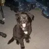 Lilly - @lesleycrabb505 - TikTok