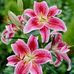 Leslie Crayo - Facebook