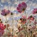 Leslie Crenshaw - Facebook