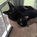 Leslie Kramer - Facebook