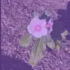 💐 - @leslie.cron - TikTok