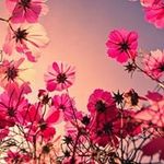 Leslie Cron - @mischangel - Instagram