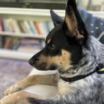 Leslie Kurtzahn Cronin - @leslie.k.cronin - Instagram
