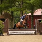 Leslie Kurtzahn Cronin - @ammy_journey - Instagram