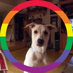 Leslie Crowder - @mtndewluvr2 - Instagram