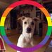 Leslie Crowder - Facebook