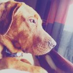 Leslie Crowell - @lesliecrowell07 - Instagram