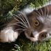 Leslie Curtis - Facebook