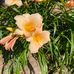 Leslie Carter - Facebook