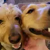Leslie Dantzler Furr - @lfurr1 - TikTok