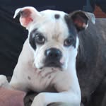 Leslie Curley DelleFave - @lesliedellefave - Instagram