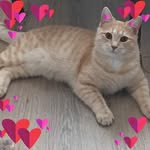 Leslie Dell - @riverdell2000 - Instagram
