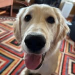 Leslie Scott Denlinger - @l_den40 - Instagram