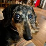 Leslie Denning - @leslie.denning.1 - Instagram