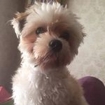 Leslie Destefano - @leslie.destefano - Instagram