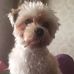 Leslie Destefano - Facebook