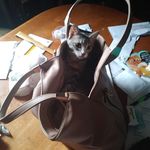 Leslie Deutscher - @leslie.deutscher.1 - Instagram