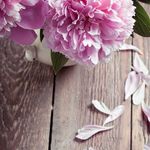 Leslie de Vries - @lesliedev.96 - Instagram