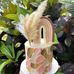 Leslie Dillard - Facebook