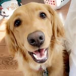Leslie Doerr - @zoey.doerr - Instagram