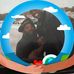 Leslie Dorris - Facebook