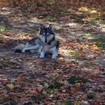 Leslie Dover Corporon - Facebook