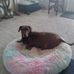 Leslie Englund - Facebook
