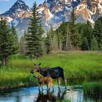 Leslie Ellsworth - Facebook