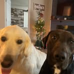 Leslie Ernst Boatman - Facebook