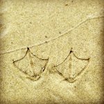 Leslie Farrington - @nearlyhugztale - Instagram