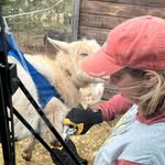 Leslie Ferris - @ferrisleslie - Instagram
