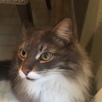 Leslie - @leslie.ferry - Instagram