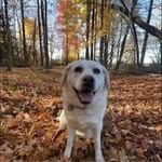 Leslie Fleck - @lafleck123 - Instagram