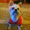 leslieforeman8 - @leslieforeman8 - TikTok