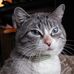 Leslie Forney - Facebook