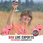 Leslie Giles - @pigsnpaws - Instagram