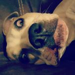 Leslie Goodenough - @lesliegoodenough - Instagram