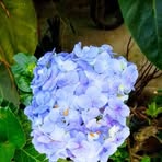Lesly Godoy - Facebook