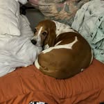 Leslie Gorham - @sessie1705 - Instagram