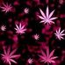 Leslie Greenleaf - Facebook